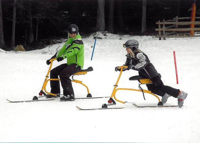 Отель Laerchenhof